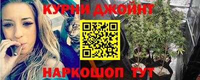 мяу мяу мука Усть-Джегута