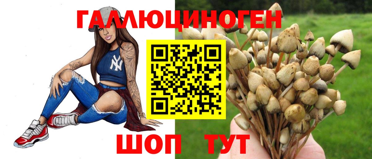 Псилоцибиновые грибы мухоморы  Вход с VPN  Ачхой-Мартан  купить   Галлюциногенные грибы ЛСД 
